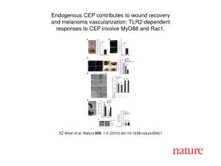 XZ West et al. Nature 000 , 1-5 (2010) doi:10.1038/nature09421