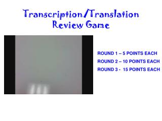 Transcription/Translation Review Game