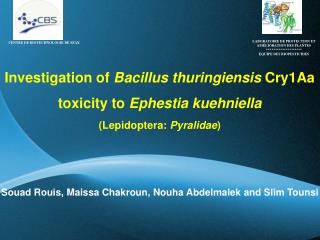 Investigation of Bacillus thuringiensis Cry1Aa toxicity to Ephestia kuehniella