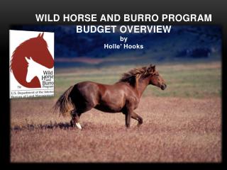 Wild Horse and Burro Program Budget Overview by Holle’ Hooks