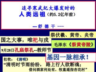 追寻寒武纪大爆发时的 人 类 远 祖 （约 5.2 亿年前） --- 舒 德 干 ---