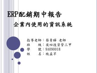 ERP 配銷期中報告