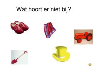 Wat hoort er niet bij?