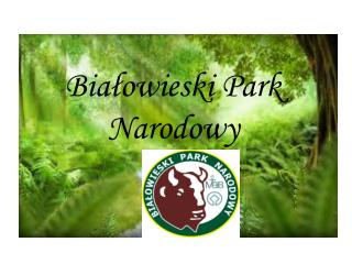 Białowieski Park Narodowy