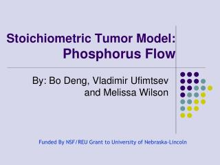 Stoichiometric Tumor Model: Phosphorus Flow