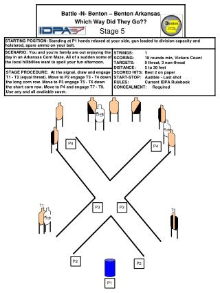 Stage 5