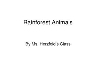 Rainforest Animals