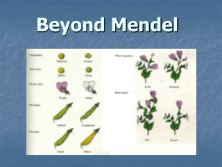 Beyond Mendel