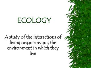 ECOLOGY