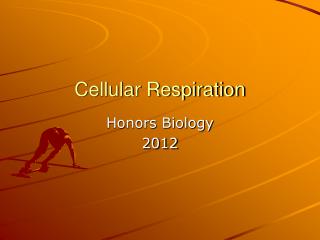 Cellular Respiration