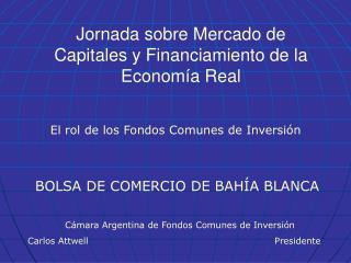 Jornada sobre Mercado de Capitales y Financiamiento de la Economía Real