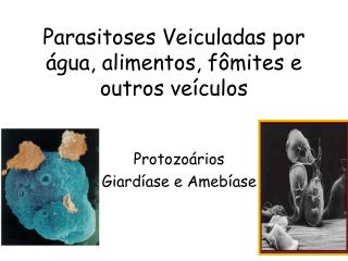 Parasitoses Veiculadas por água, alimentos, fômites e outros veículos