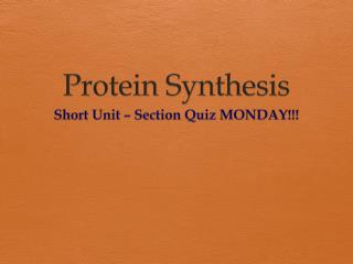 Protein Synthesis