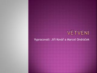 Větvení