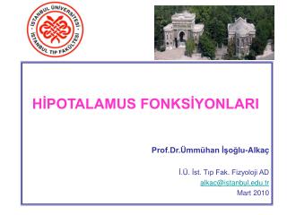 HİPOTALAMUS FONKSİYONLARI