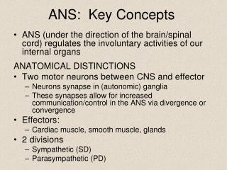 ANS: Key Concepts