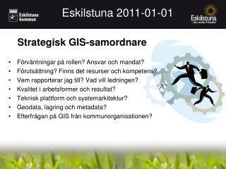 Strategisk GIS-samordnare