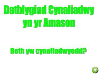 Datblygiad Cynaliadwy yn yr Amason