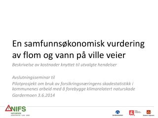 En samfunnsøkonomisk vurdering av flom og vann på ville veier