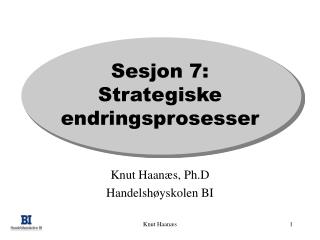 Sesjon 7: Strategiske endringsprosesser