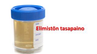 Elimistön tasapaino