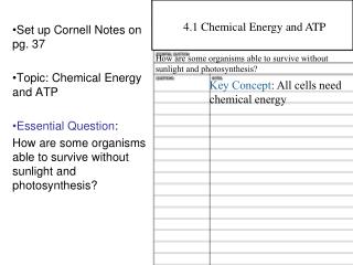 Set up Cornell Notes on pg. 37 Topic: Chemical Energy and ATP Essential Question :