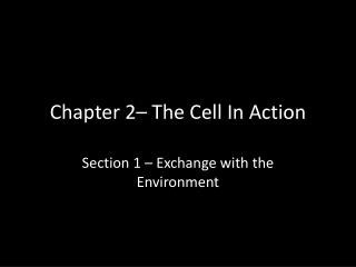 Chapter 2– The Cell In Action