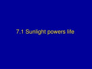7.1 Sunlight powers life