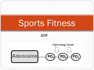 Sports Fitness