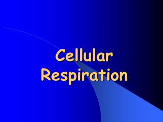 Cellular Respiration