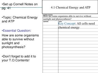 Set up Cornell Notes on pg. 41 Topic: Chemical Energy and ATP Essential Question :