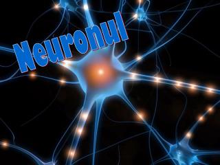 Neuronul
