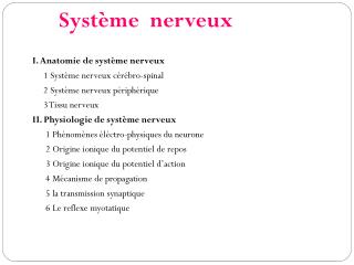 I. Anatomie de système nerveux 1 Système nerveux cérébro-spinal