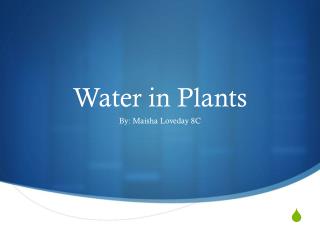 Water in Plants