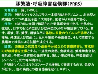豚繁殖・呼吸障害症候群（ PRRS ）