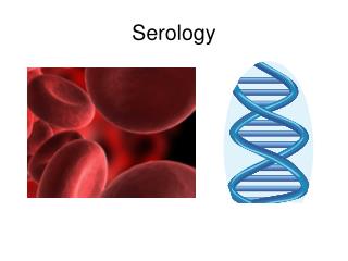 Serology