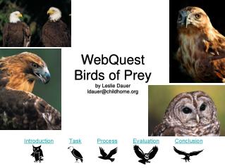 WebQuest Birds of Prey by Leslie Dauer ldauer@childhome