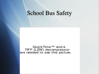 School Bus Safety