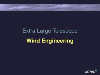 Extra Large Telescope Wind Engineering