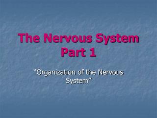 The Nervous System Part 1