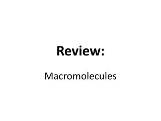 Review: