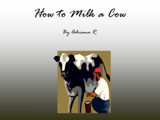 How to Milk a Cow