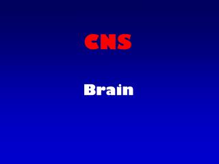 CNS