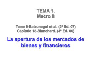 TEMA 1. Macro II Tema 9-Belzunegui et al. (2ª Ed. 07) Capítulo 18-Blanchard. (4ª Ed. 06)