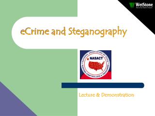 eCrime and Steganography