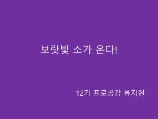 보랏빛 소가 온다 !