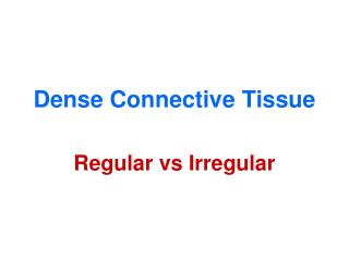 Dense Connective Tissue