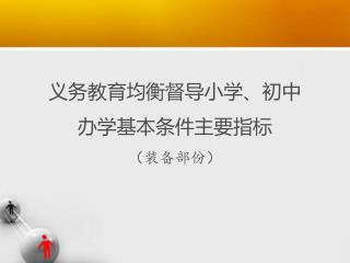 义务教育均衡督导小学、初中 办学基本条件主要指标 （装备部份）