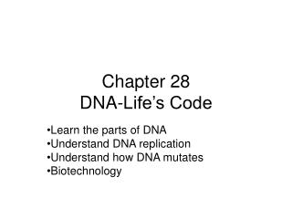 Chapter 28 DNA-Life’s Code