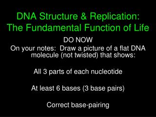 DNA Structure &amp; Replication: The Fundamental Function of Life